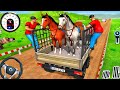 Real cargo Animal Transport Truck Drivering simulator game -2025