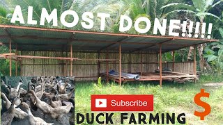 NEW BUILDING IS ALMOST DONE!!! DUCK FARMING UPDATE, RAFFLE DRAW UPDATE