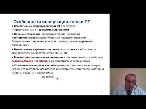 Видео: Какая мерокриновая железа из перечисленных ниже?