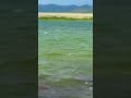 AO DA BA KAM ZEY WE рџ Ќрџ Swabi Nature Peacock Song Bird AO DA BA KAM ZEY WE рџ Ќрџ Swabi Nature Peacock Song Bird