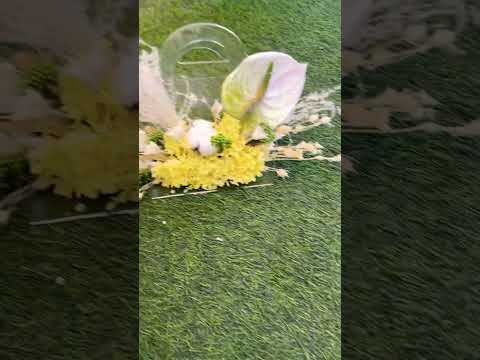 شنطة هدايا
