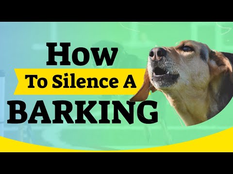How To Silence A BARKING DOG: An Incredibly Easy Method [Works For All Dogs]