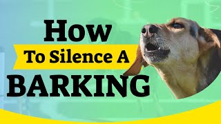 How To Silence A BARKING DOG: An Incredibly Easy Method [Works For All Dogs] screenshot 5