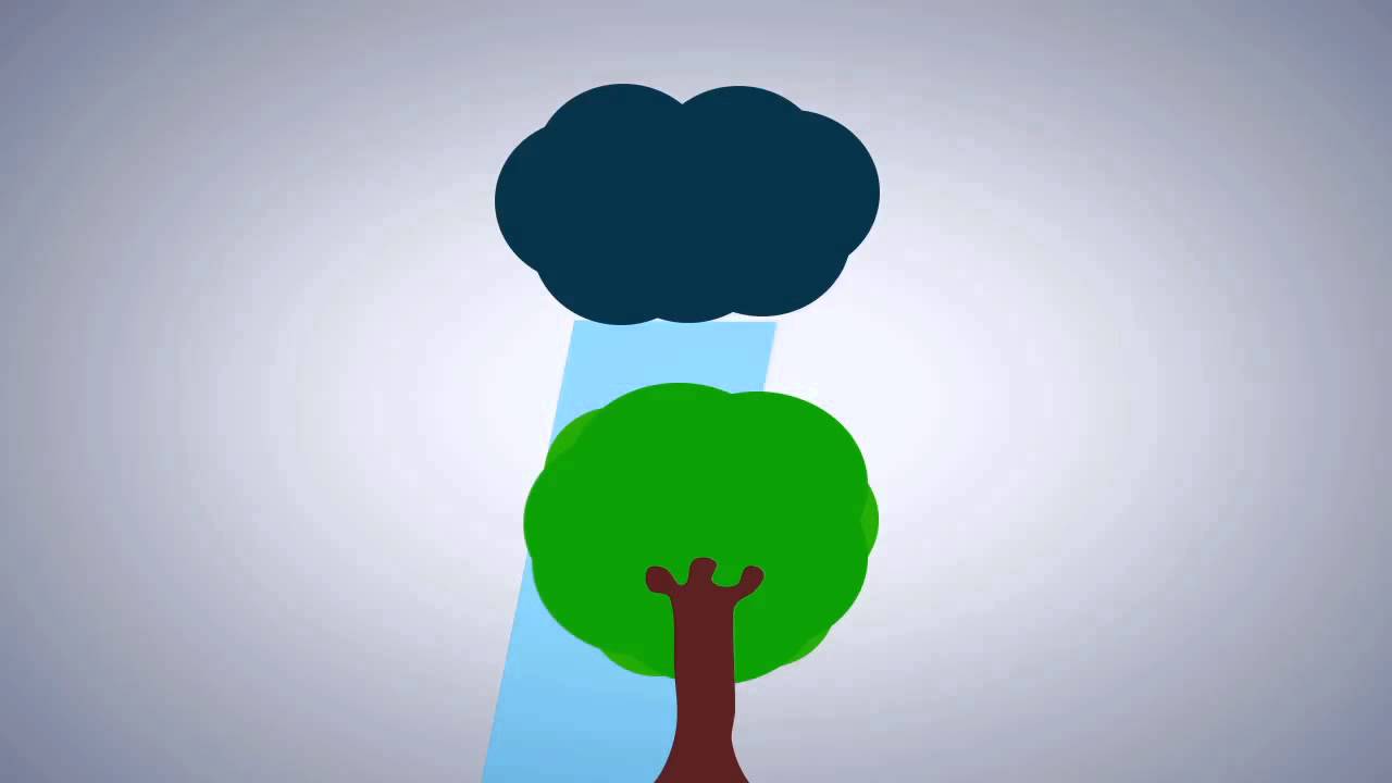 Banjir Akibat Penebangan Pohon Secara Liar YouTube