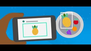 Firebase Auto ML vision Edge Stones Recognition Example Part 1 Urdu/Hindi