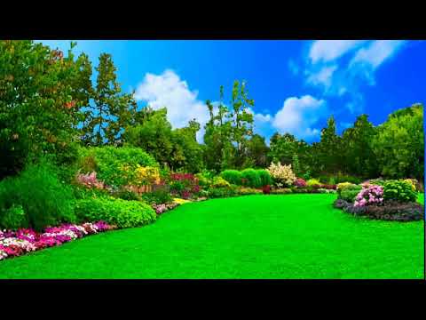 Background Video Taman Alam Nan Indah Youtube