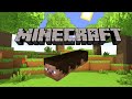 Minecraft Worm Man
