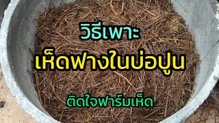 วิธีเพาะเห็ดฟางในบ่อปูน #เห็ดฟาง #วิธีเพาะเห็ดฟางในบ่อปูน #บ่อปูน