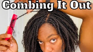 Combing My Locs | Microlocs Hair Liberation