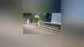 Ora biso mulih versi anak demangsari
