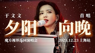 于文文《夕阳向晚》首唱 魔方视界巡回演唱会 Kelly Yu Stage Performance 