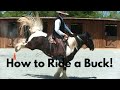 How to Ride a Buck