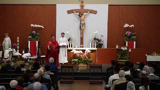 STM Livestream: 9:30AM Sunday Mass