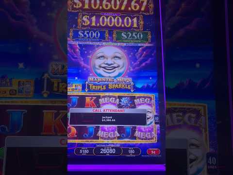How much can we lose? 😂 #blackjack #casino #gambling