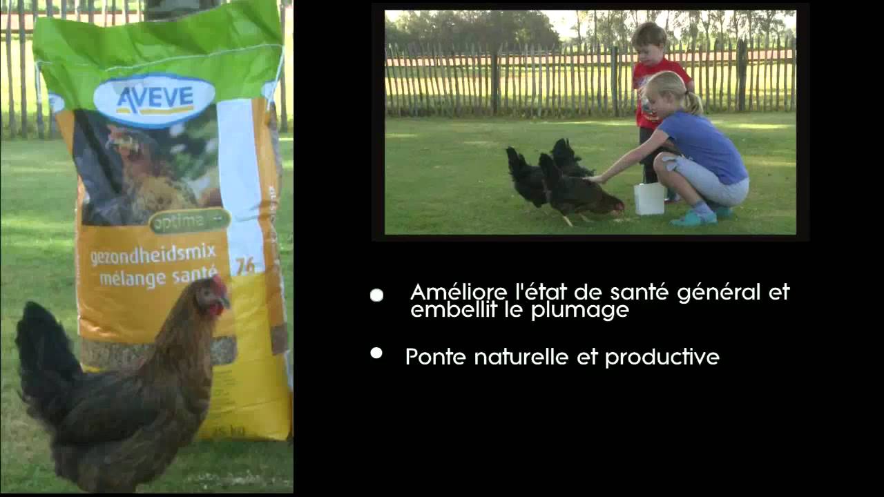 Aliments Pour Pondeuses