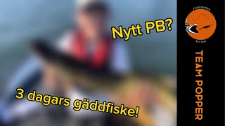 3 Dagars Fiske Äventyr Oväntad Fångst Team Popper