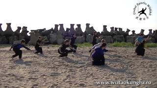 18 forme Wudang Tai Yi @ WuDao