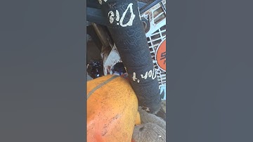 If you need it, use it. #mitchzenobitrees #logging #arborist #timberfaller #chainsaw #stihl #oil