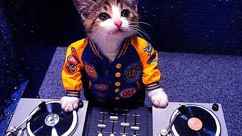 Guaya Guaya - Don Omar!! Dj Cat  2015 Electro Latin mix