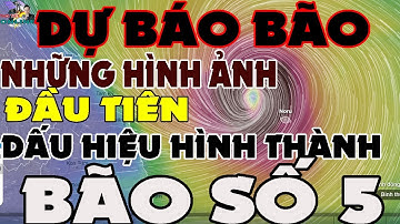 TIN BÃO XA - BÃO SỐ 5 CÓ THỂ ĐƯỢC HÌNH THÀNH TRONG THÁNG10 - NHỮNG HÌNH ẢNH ĐẦU || THỜI TIẾT ONLINE