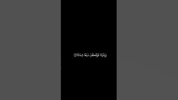 ياسر الدوسري || شاشه سوداء قران || الم نجعل الارض مهادا|| سورة النبأ