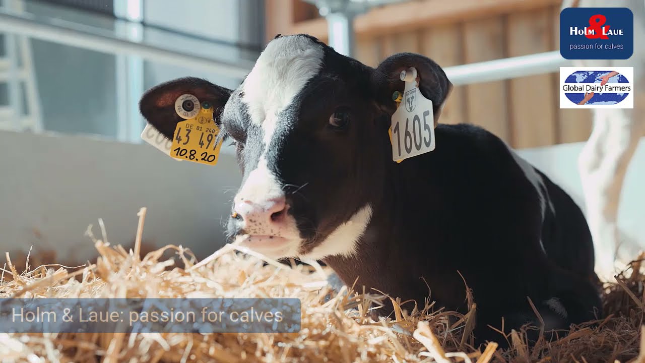 Holm and Laue GDF around the globe 2021