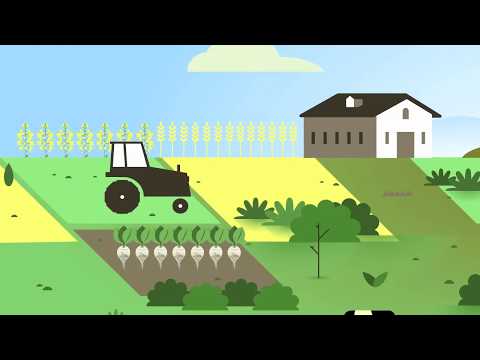 Vidéo: A quoi sert l'énergie dans un écosystème ?