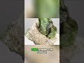 Demantoid Garnet: The Rare Green Gemstone's Sparkle #shorts