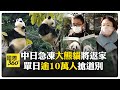 文化交流與社會反應