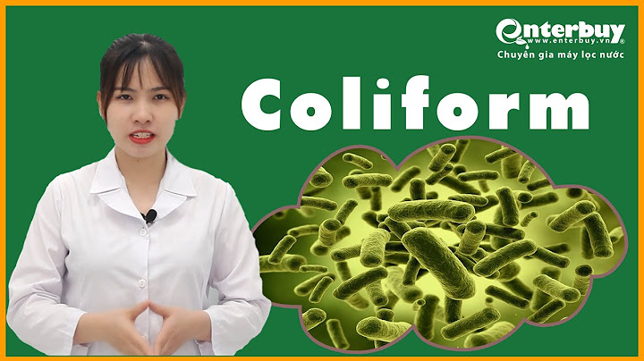 So sánh e.coli và coliform