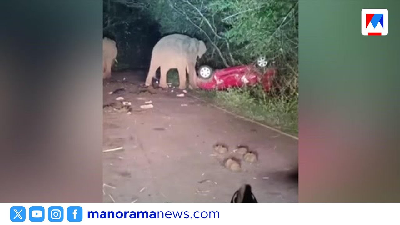 അതിരപ്പള്ളിയിൽ കാട്ടാന മുന്നറിയിപ്പ് സ്ക്രീൻ തകരാറിൽ; വിനോദസഞ്ചാരികൾക്ക് ഭീഷണി | Athirappilly