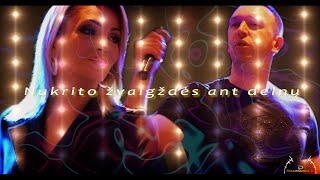 Shliub Dance 2 'Nukrito žvaigždės ant delnų'