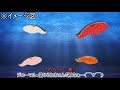 【ゆっくり+生撮影】釣り動画、トーク編(笑)野菜武器も登場ww