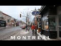 Montreal's Prettiest Neighborhood Le Plateau Mont-Royal Winter Walking