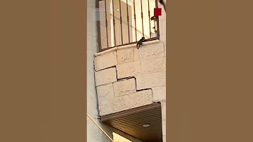 مراسل المملكة سيتم تأمين قاطني البناية الآيلة للسقوط في إربد بمساكن بديلة 