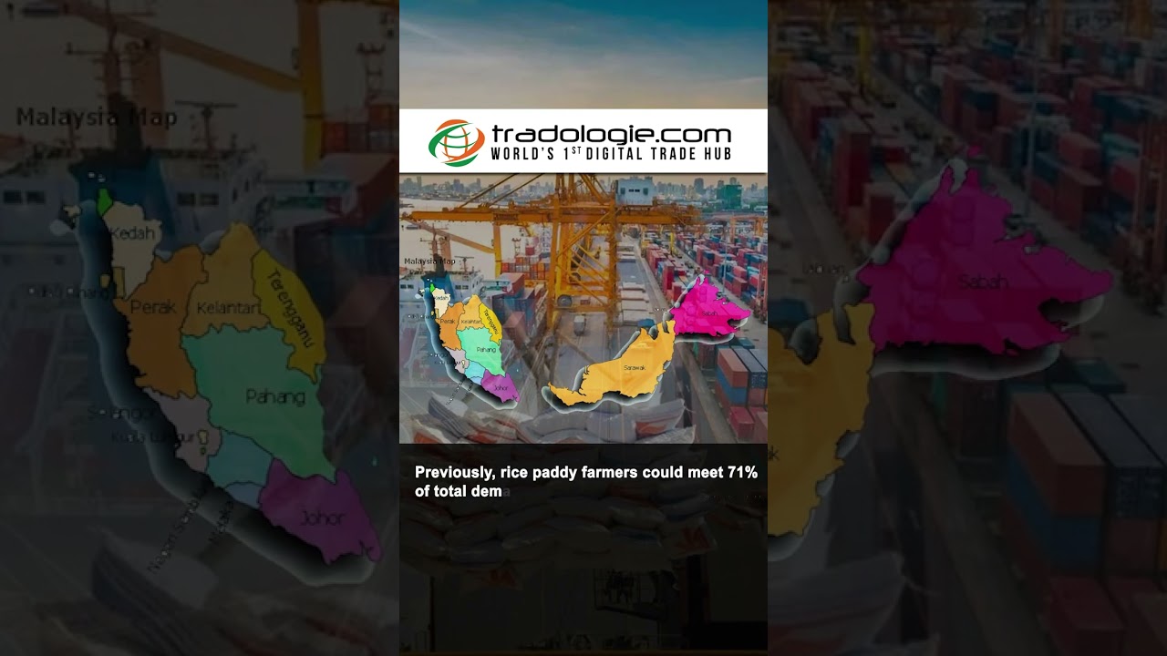 Johari Ghani Urges Malaysia To Reduce Dependency On Rice Imports As Domestic Output Declines