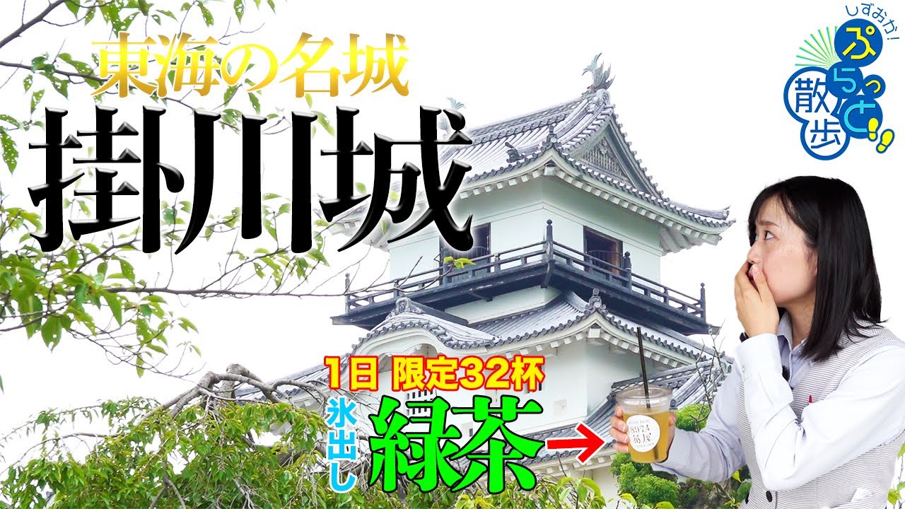 東海の名城掛川城　1日限定32杯氷出し緑茶 【しずおか！ぷらっと散歩2021/島田掛川信用金庫】