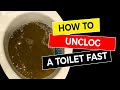 How to Unclog a Toilet Fast 🚽