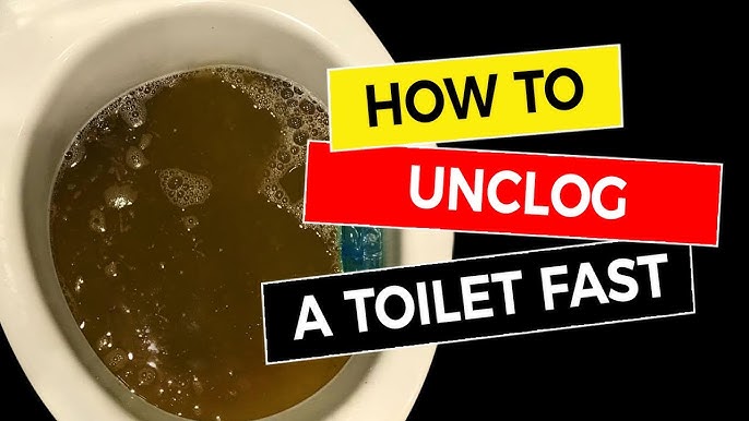 How To Unclog A Toilet With Poop In It: Quick Solutions