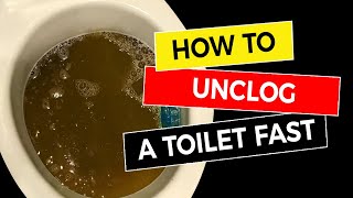 How to Unclog a Toilet Fast 