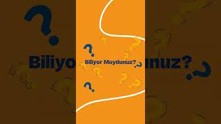 Devredin Kişileştirilmiş Yatırım Önerileri