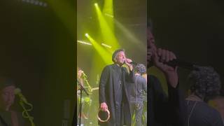 דורון שחר סולו גיטרה סגיב כהן - אהובת לבבי - פזמון יומה יומה גריי יהוד 10.2.2025