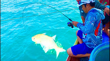 câu cá biển tập 1//jig cá cá chét // jigging cá bè quỵt vô bầy kéo phê @giangngofising