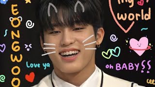 Jeongwoo edits 🐺 |tiktok compilation