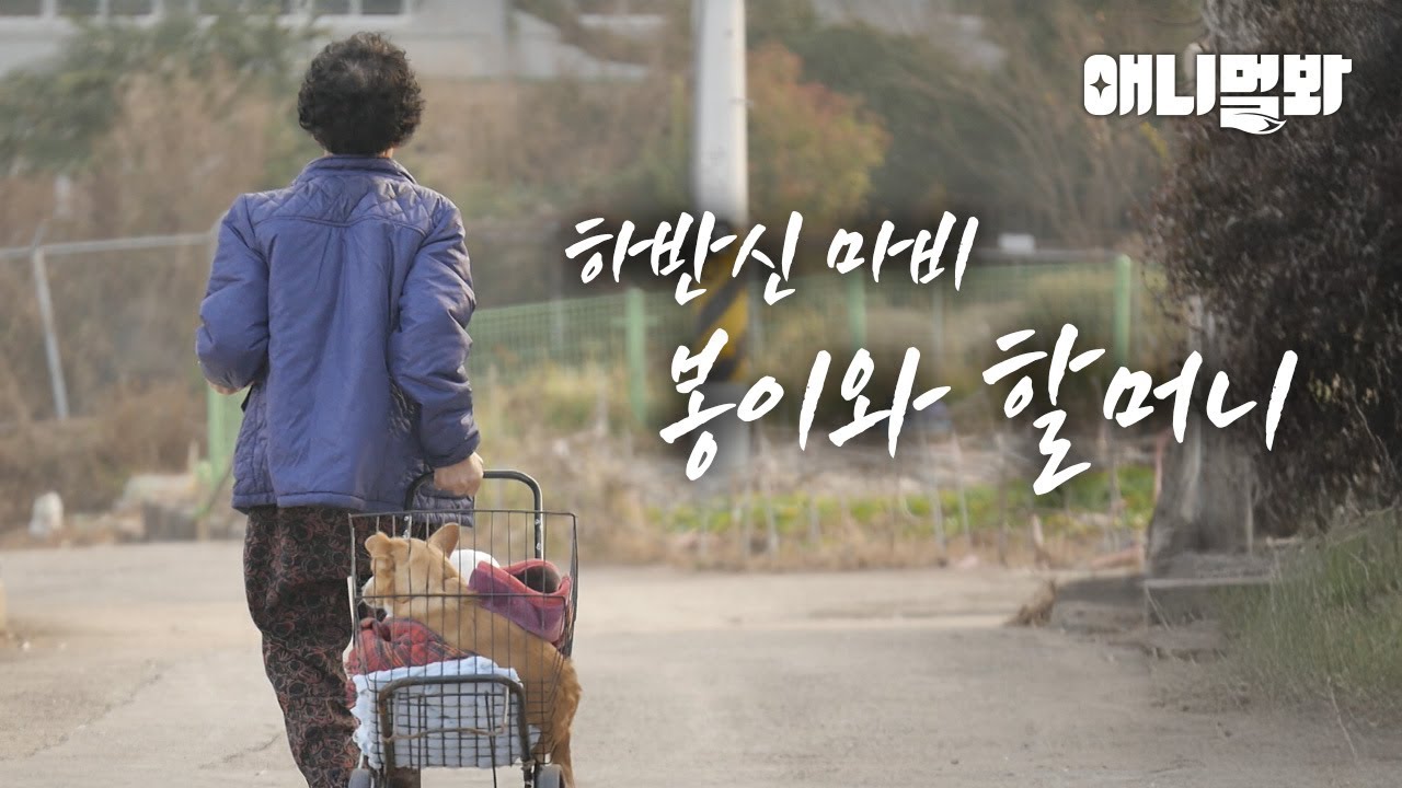 할머니와 걷고 싶은 봉이의 이야기 I A Grandma and a dog who wants to walk