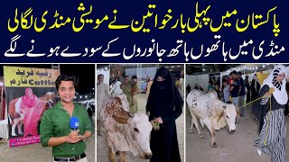 For the first time in Pakistan women set up a cattle market for Eid ul Adha 2023 - SAMAA ORIGINALS