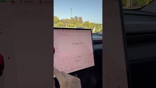 Model Y Juniper Disney Plus Hack!