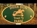 Deer run farm  overdue intro