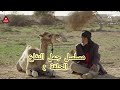 مسلسل جمل النفاع الحلقة 2