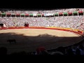 Plaza de toros pamplona san fermines 17 el rey